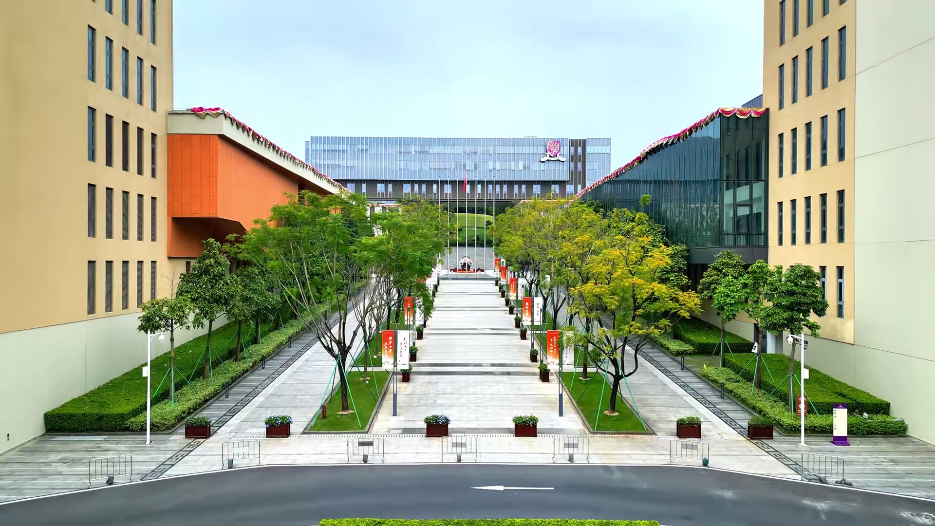 作品画面：香港中文大学（深圳）的校园建筑与林荫步道。